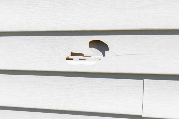 Best Weatherproofing and Sealing  in Saddle River, NJ