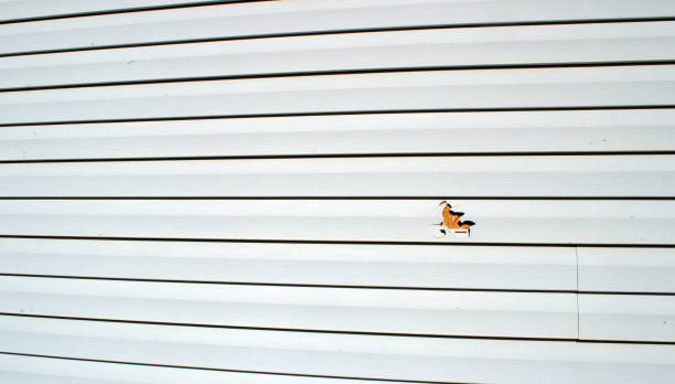 Best Engineered Wood Siding  in Saddle River, NJ