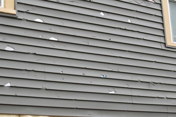 Best Siding Painting and Refinishing  in Saddle River, NJ