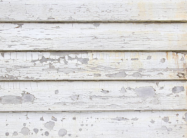 Best Custom Siding Design  in Saddle River, NJ